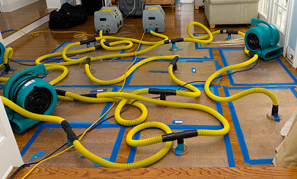 Professional Sewage Cleanup technician working in Leon, VA