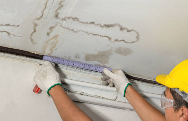 Affordable Water Damage Repair solutions in Leon, VA